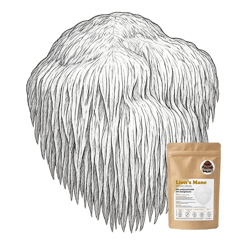 Extrakt z houby Lion’s Mane